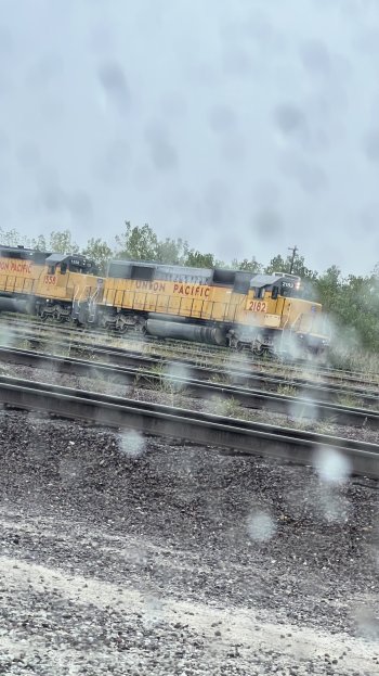 IMG_4834.jpeg