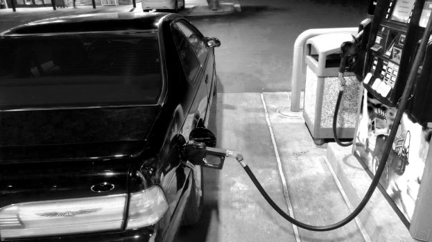 bird gas bw.jpg