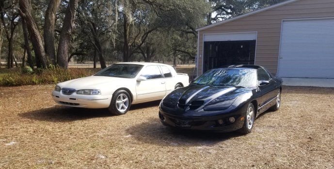 Cougar an Lisa.jpg