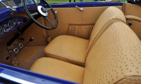 ostrich car interior.JPG