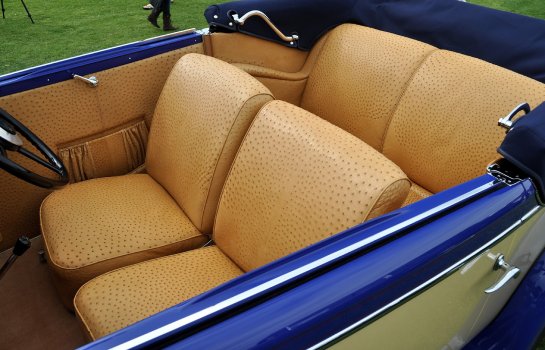 ostrich car interior 2.JPG