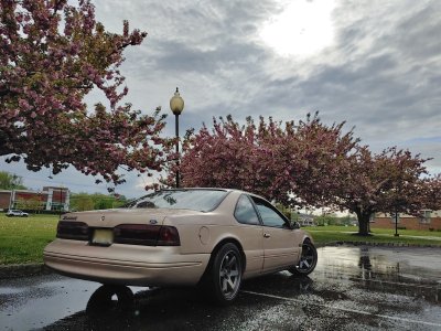 Point Blur_Apr292025_205431.jpg