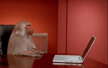 1746326506544.gif