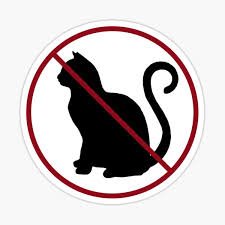 no_cats.jpg