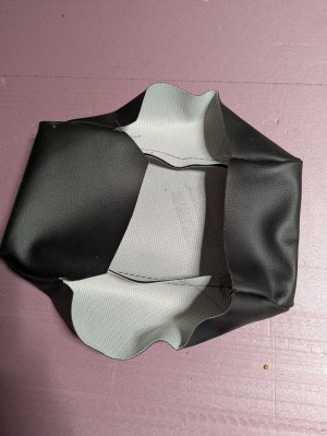 PXL_20250321_000638428.jpg