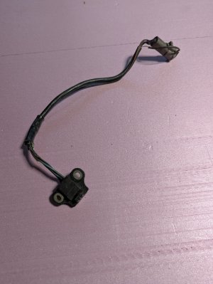 PXL_20250320_233159593.jpg