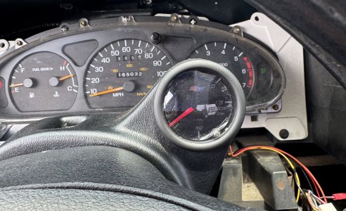 IMG_7584.jpeg