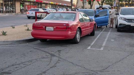 1000000598.jpg