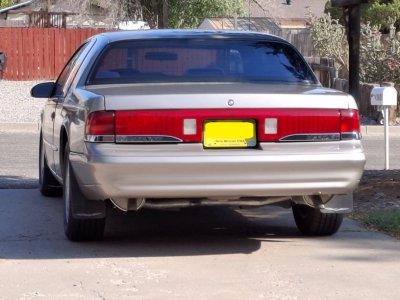 Rear of a Cougar small.jpg