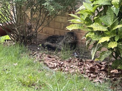 IMG_9675.jpeg