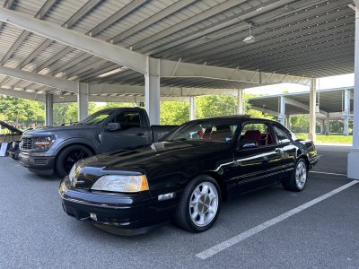 IMG_3666.jpeg