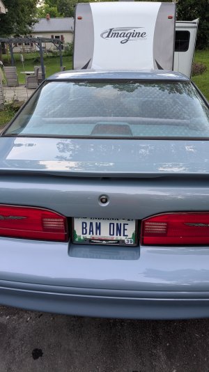 1000003678.jpg