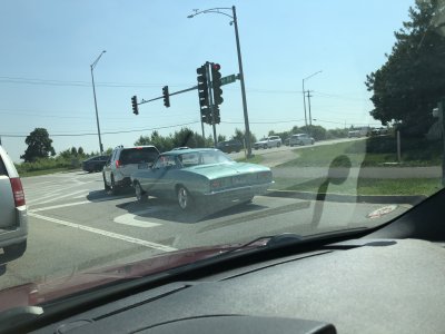 IMG_7093.jpeg