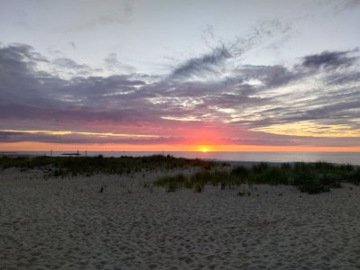 IMG_20250719_054259165_HDR.jpg