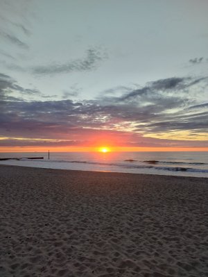 IMG_20250719_054530677_HDR.jpg