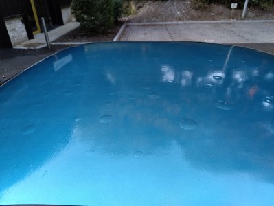 IMG_20250711_203652.jpg