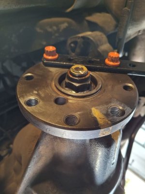 Pinion w companion.jpg