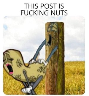 1000001162.jpg