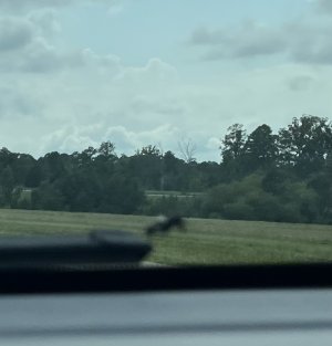IMG_4923.jpg