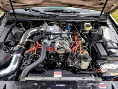 IMG_20250802_143554447_HDR~2.jpg