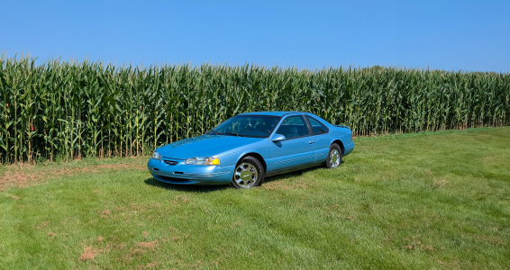 Little Ice-Cube Cornfield.png