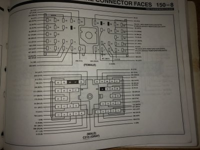 IMG_7241.jpeg