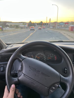 IMG_0598.jpeg