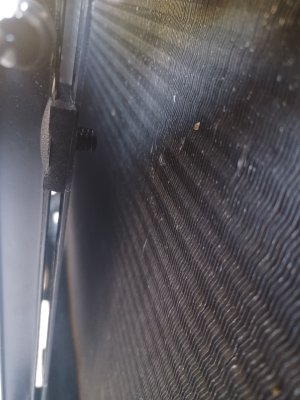 20250831_074726.jpg