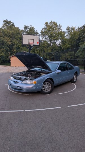 1000004153.jpg