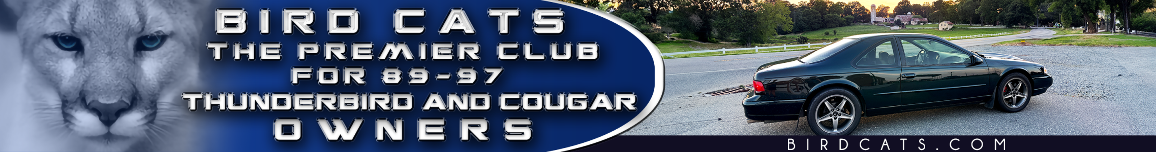 WebBanner Design_TM_SEP2025.png WebBanner Design_TM_SEP2025.png