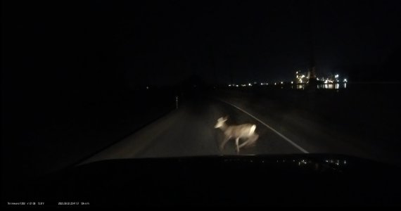 Screenshot_20250911_012802_DASH CAM LINK.jpg