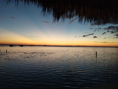 IMG_20250919_195115583.jpg