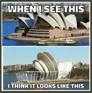 IMG_7546.png