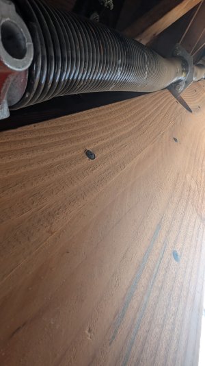 1000001715.jpg