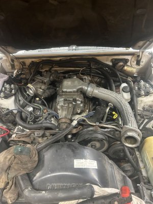 1759620117606.jpeg 1759620117606.jpeg