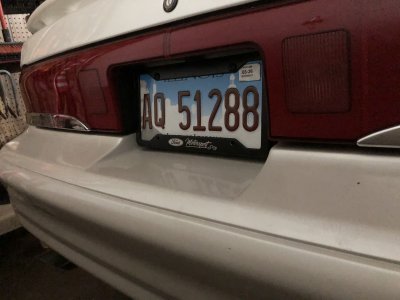 IMG_7704.jpeg IMG_7704.jpeg