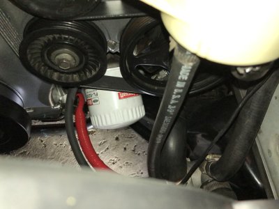 IMG_7745.jpeg IMG_7745.jpeg