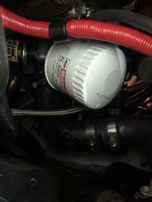 IMG_7742.jpeg IMG_7742.jpeg