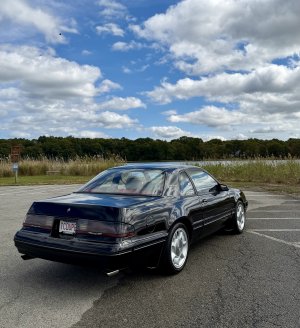 IMG_4237.jpeg IMG_4237.jpeg