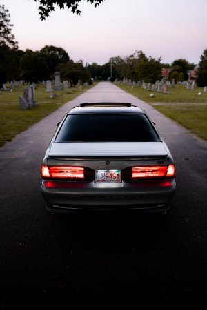 DSC08908.jpeg DSC08908.jpeg