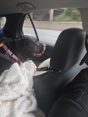 IMG_20251011_091820876.jpg IMG_20251011_091820876.jpg