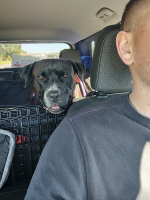 IMG_20251012_113454360_HDR.jpg IMG_20251012_113454360_HDR.jpg