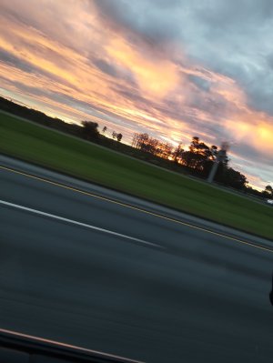 IMG_20251012_072340515.jpg IMG_20251012_072340515.jpg