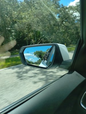 IMG_20251012_140140950_HDR.jpg IMG_20251012_140140950_HDR.jpg