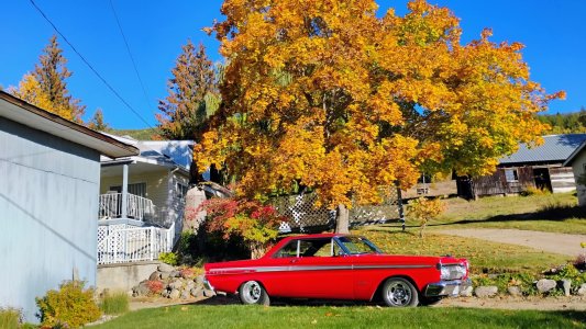 FB_IMG_1760681357245.jpg FB_IMG_1760681357245.jpg