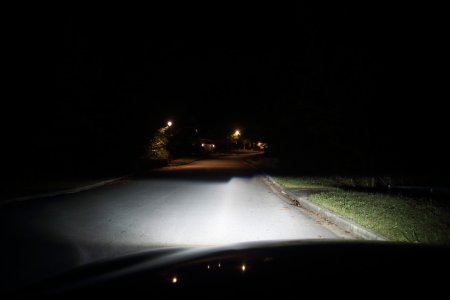 IMG_2075 (Large).JPG