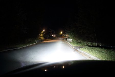 IMG_2076 (Large).JPG