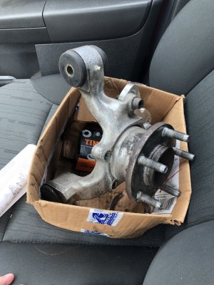 IMG_5549.jpeg IMG_5549.jpeg