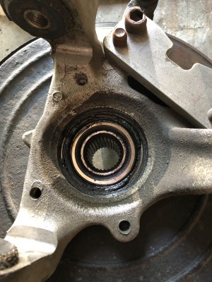 IMG_5538.jpeg IMG_5538.jpeg