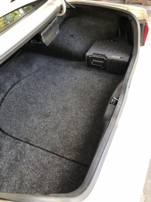 IMG_7444.jpeg IMG_7444.jpeg